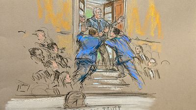 Man tackled as he shouts at chamber door during Senate Impeachment Trial on Jan. 22, 2020.
