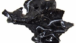 Image: A vitrified brain fragment from a victim of the volcanic eruption of