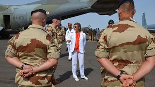 Image: French Minister of Army Forces Florence Parly stands meets French of