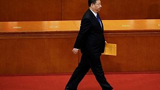 African presidents congratulate China's Xi Jinping, Russia's Putin