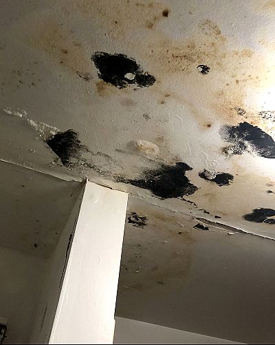 Mold on the ceiling of an apartment in the Clay Arsenal complex in Hartford, Connecticut, which was owned by Emmanuel Ku.