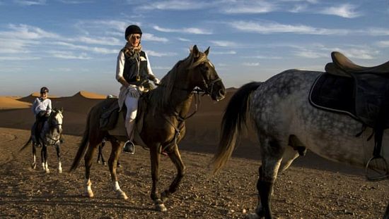 Des étalons dans une tempête de sable: défi équestre dans le désert [No Comment]