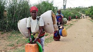 Ethiopia says refugees have returned from Kenya, warns NGOs and media