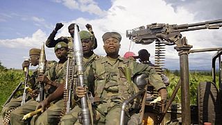 DR Congo military kills 13 rebels in Ituri clashes - army spokesman