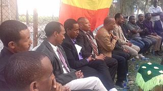 Ethiopia rearrests opposition leaders, journalists during 'prisoner release' celebrations