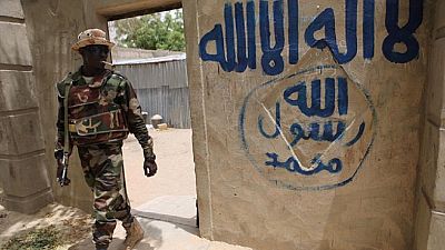 Nigeria gov't seeks permanent ceasefire with Boko Haram