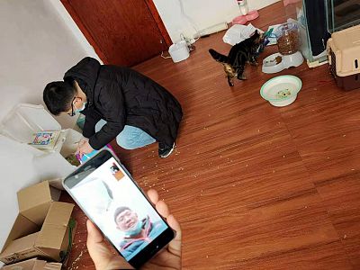 Volunteers with Wuhan Animal Protection Association attend to animals trapped inside an apartment in Wuhan, China as they live stream with the owner.