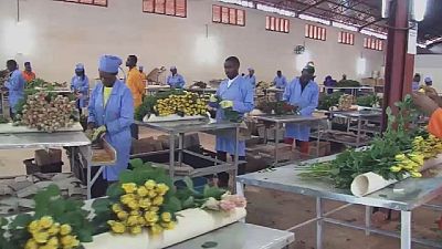Rwanda : développer la production de fleurs