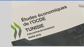 Tunisie : l'OCDE pour l'amélioration du climat des affaires