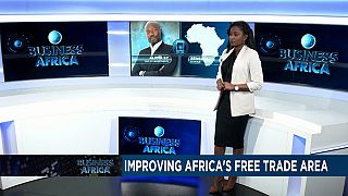 Improving Africa's free trade area [Business Africa]