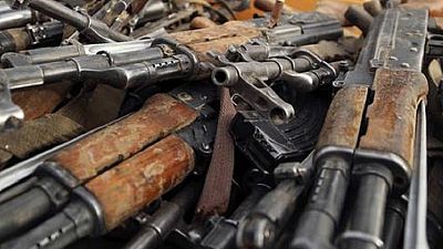 Cameroon bans the sale of arms and ammunition in six regions