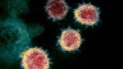 Image: Coronavirus