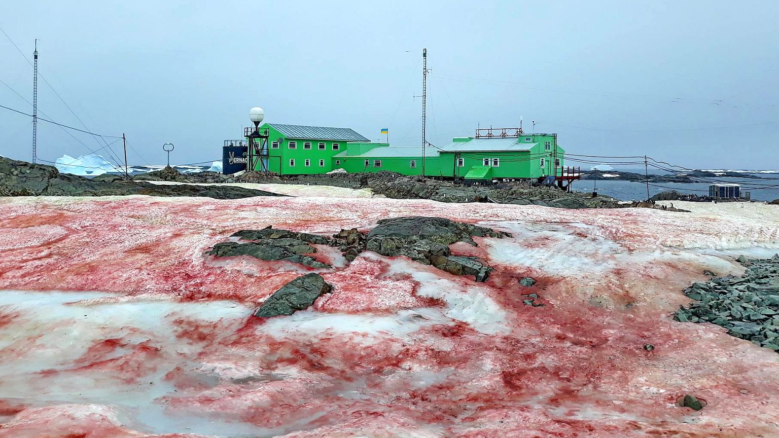 The ice around Ukraine's Vernadsky Research Base, located on Galindez Islan