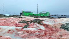 The ice around Ukraine's Vernadsky Research Base, located on Galindez Islan
