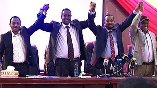 Ethiopia PM Abiy Ahmed visits Jijiga on Oromia-Somali peace mission