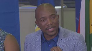 Maimane re-elected leader of the Democratic Alliance