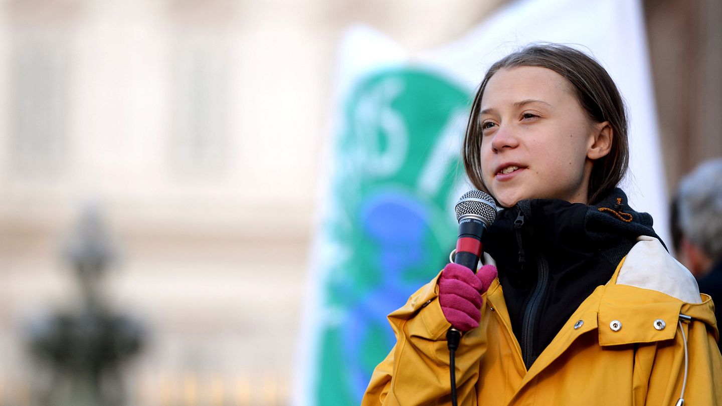 Greta Thunberg responds to cartoon appearing to show her being assaulted |  Euronews