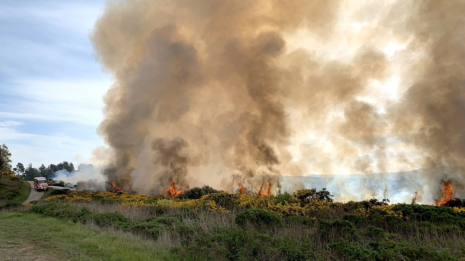 Firefighters battled a small brush fire that broke out in San Bruno Mountai