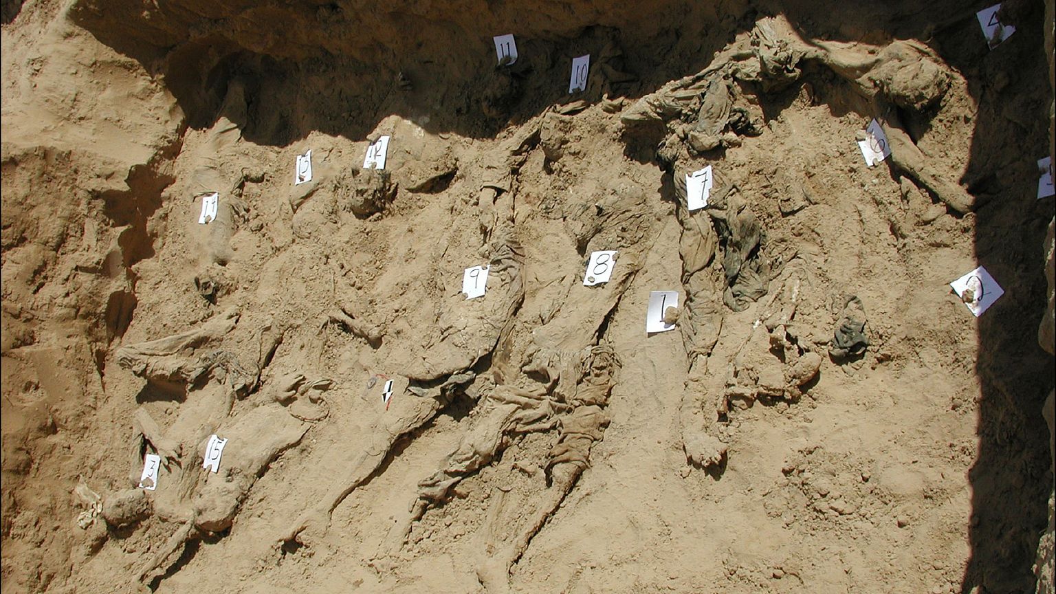 Image: A test trench dug by Physicians for Human Rights forensic experts in
