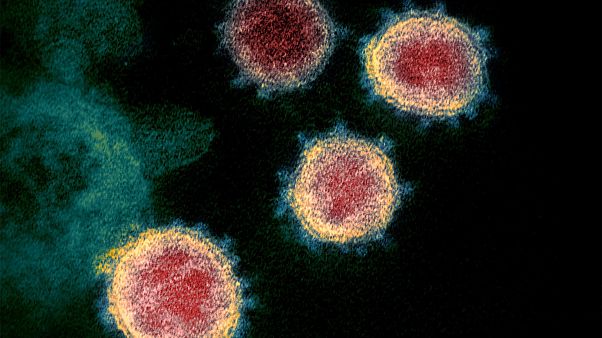 Image: coronavirus Image: coronavirus