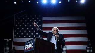 Image: Bernie Sanders at a rally in Los Angeles