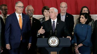 Image: Vice President Mike Pence, who heads the government's coronavirus ta