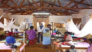 Afrique : à la recherche des moyens efficaces de lutte contre le paludisme