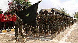 United Arab Emirates ends support for Somalia's military