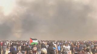 Violence in the Gaza Strip - European lawmakers weigh in