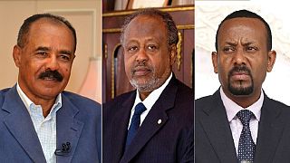 Eritrea, Djibouti, Ethiopia hosts top U.S. diplomat on East Africa tour
