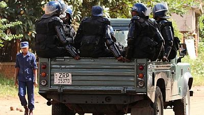 Zimbabwe police pledges to work for all political parties and voters