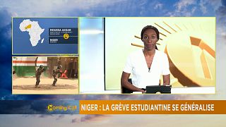 Niger student strike spreads [The Morning Call]