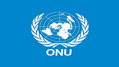 Mali : l'ONU dénonce les tueries de civils à Menaka (communiqué)
