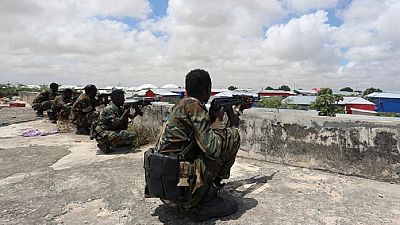 Somalia must quickly overhaul its weak army: donors