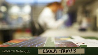 [Explainer]Profile of the much-feared killer that is Ebola