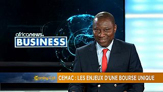 The challenges of a single stock market for Central Africa [Business Segment]