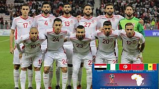 Russia 2018: Tunisia names preliminary squad for World Cup