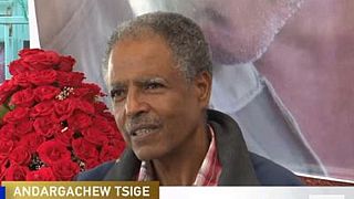 Complexities of Ethiopia's problems mentally burdens freed Andargachew