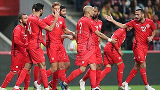 Tunisia coach focuses on psychological preps ahead of World Cup