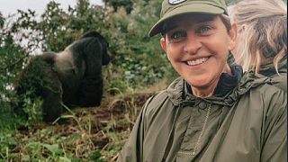 Ellen DeGeneres shares gorilla experience, authorities note population recovery