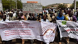 Burkina Faso : manifestation contre les OGM  
