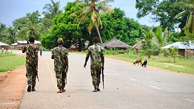 Mozambique : neuf "insurgés" tués lors d'une opération de la police