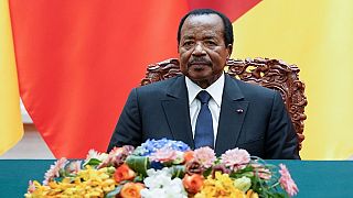 Le Cameroun amer contre Amnesty International