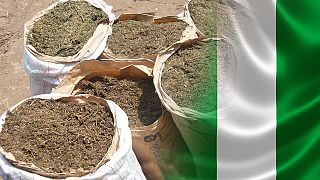 Nigerian authorities seize 3 tonnes of cannabis