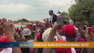 Afrique du sud : Malema critiqué pour des remarques "racistes" [The Morning Call]