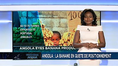 Angola wants to have a share of the booming industry of banana production [Business Africa]
