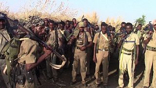 Ethiopia: Rebel group, Patriot Ginbot 7 suspends armed operations