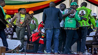 Zimbabwe to conduct sweeping reforms at Mnangagwa's security details