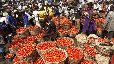 Au Nigeria, les conflits intercommunautaires menacent l'agro-économie