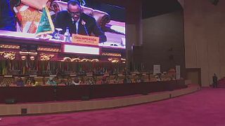 31st AU summit ends in Mauritania with decisions on Libya, Somalia, S. Sudan